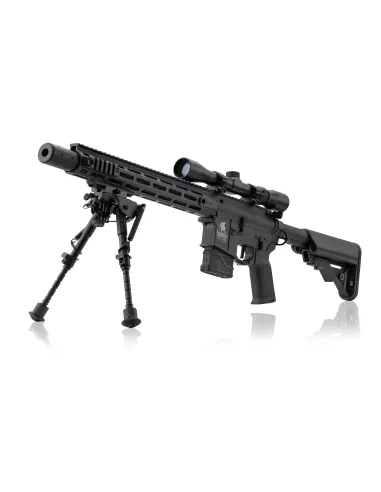 Fusil DMR LT-32 Pack