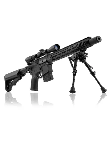 Fusil DMR LT-32 Pack