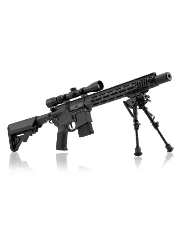 Fusil DMR LT-32 Pack