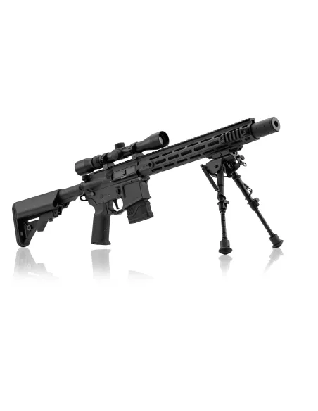 Fusil DMR LT-32 Pack