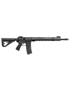 Fusil AEG AR15 01E - FE - Arcturus 2