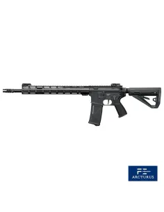 Fusil AEG AR15 01E - FE - Arcturus