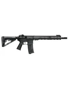 Fusil AEG AR15 01E - FE - Arcturus 2
