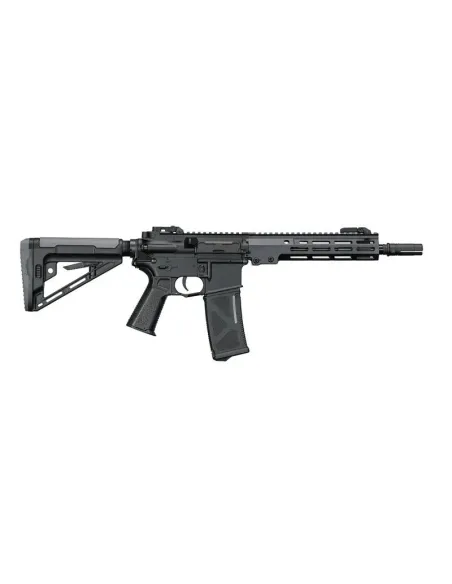 Fusil AEG AR15 01E - FE - Arcturus