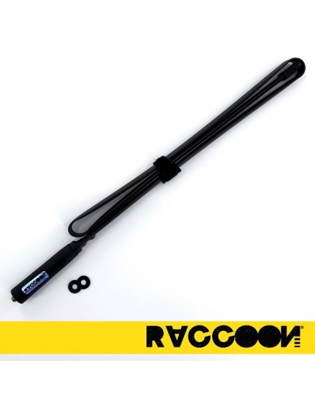 copy of 