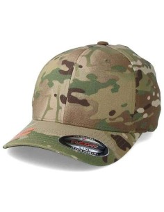 Gorra FlexFit Original 2